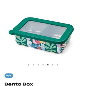 S’well bento box